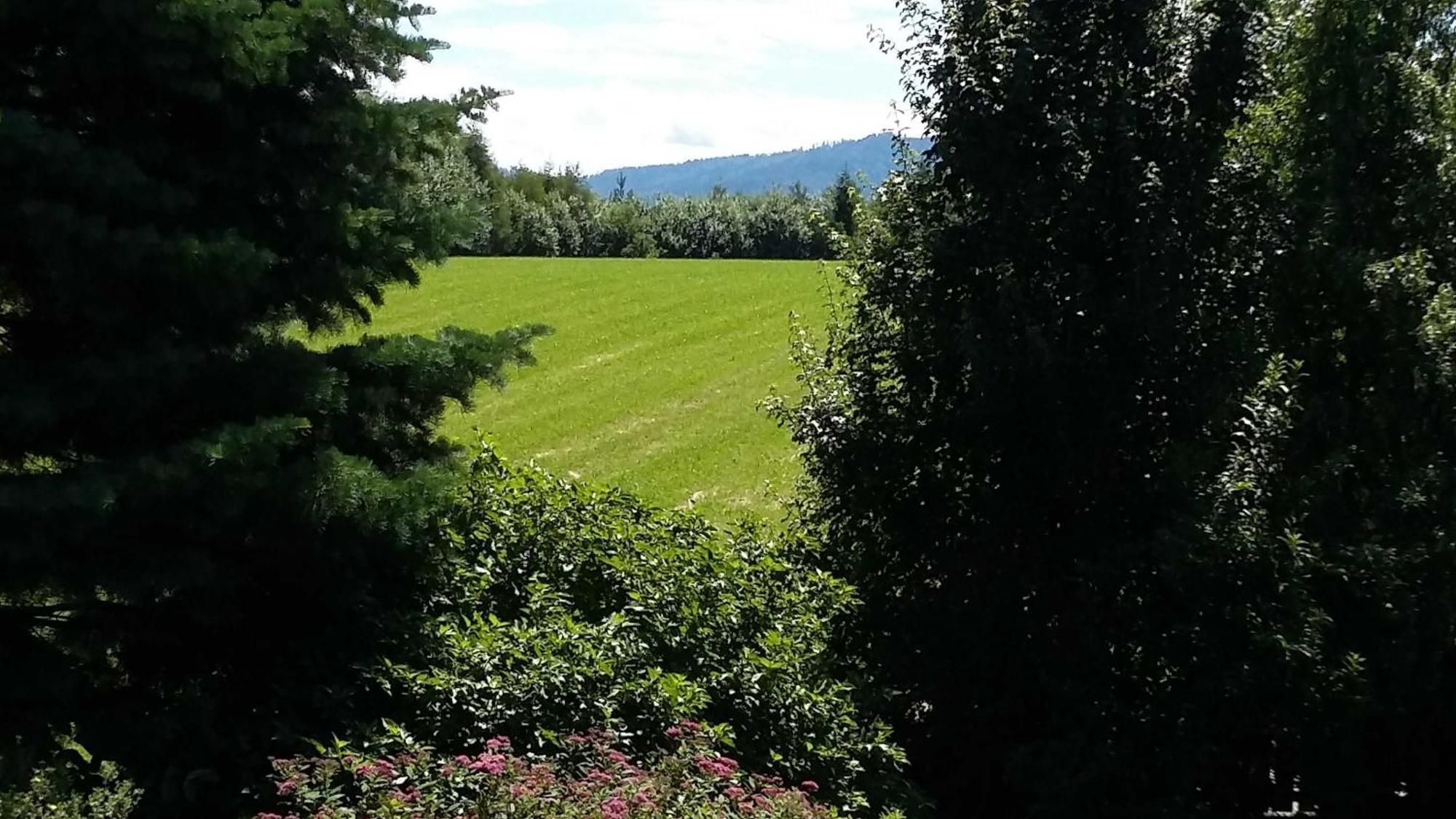 Ferienwohnung In Haidach Seewalchen am Attersee Zewnętrze zdjęcie